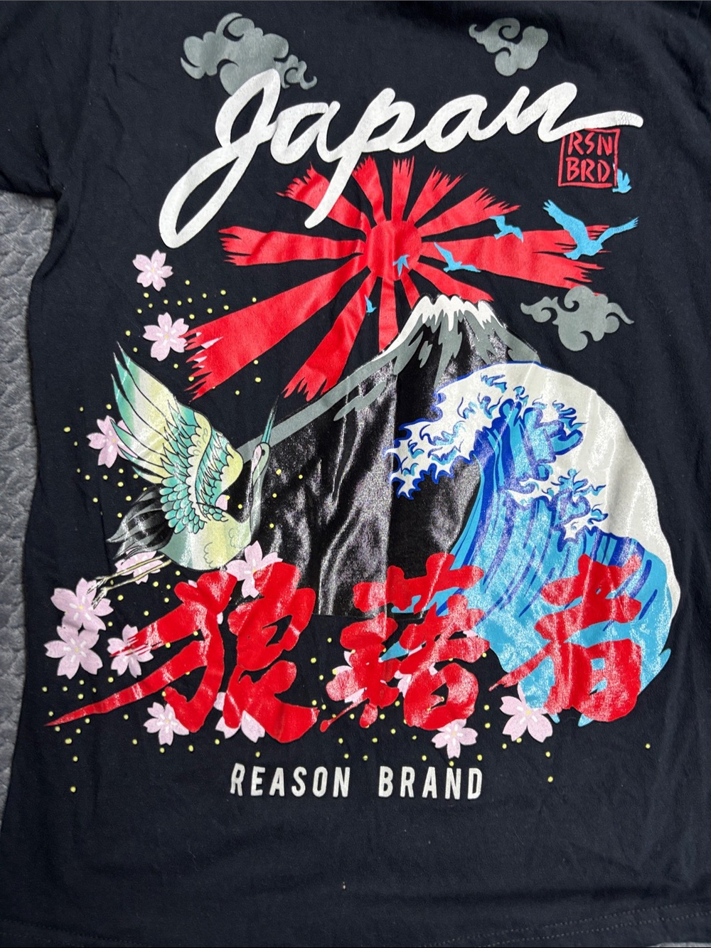 Reason Japan Graphic Tee - Black with Red & Blue Accents - Picture 2 of 4